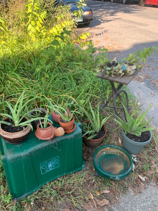 2xzQ7bmOQB2XvA%3Mt7ORQ